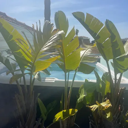 Gabriel * Golfe-Juan